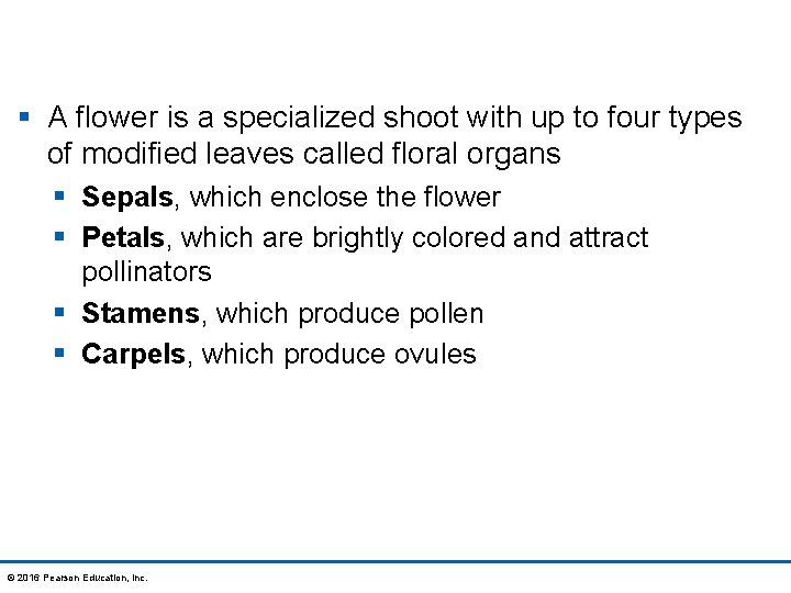 § A flower is a specialized shoot with up to four types of modified