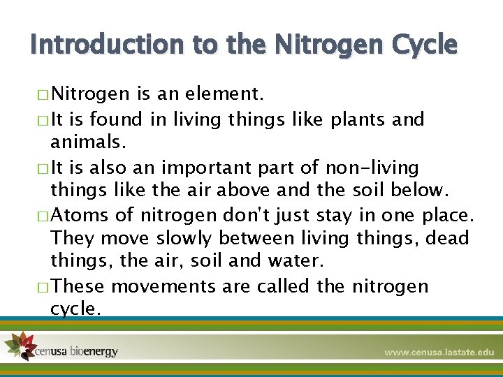 Introduction to the Nitrogen Cycle � Nitrogen is an element. � It is found