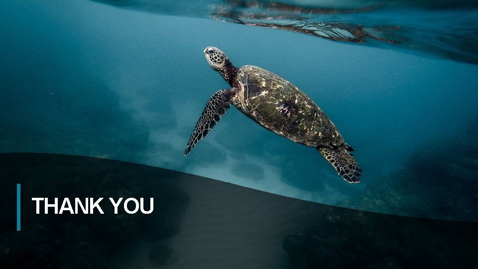 THANK YOU Insert Image 31 