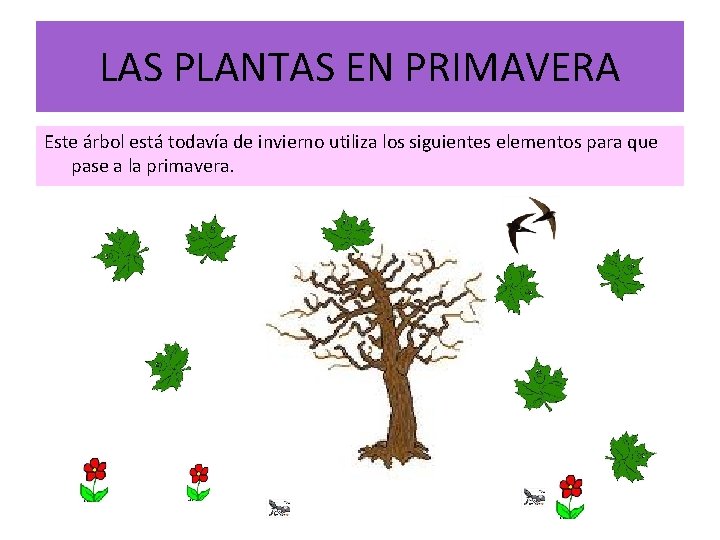 LAS PLANTAS EN PRIMAVERA Este árbol está todavía de invierno utiliza los siguientes elementos