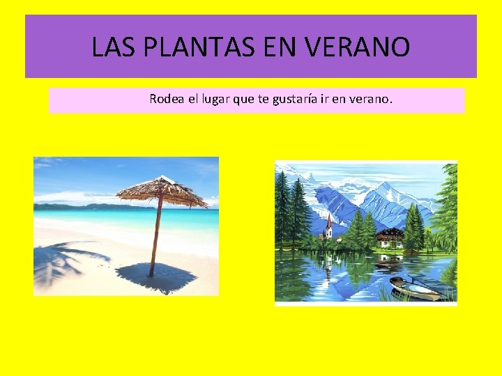 LAS PLANTAS EN VERANO Rodea el lugar que te gustaría ir en verano. 