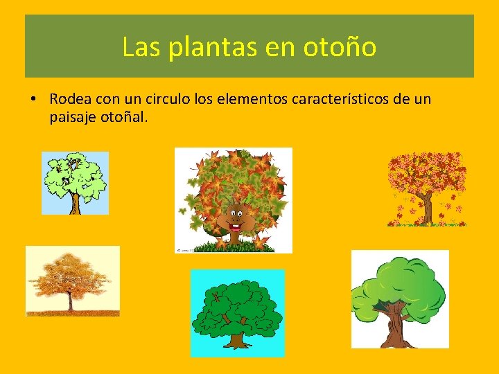 Las plantas en otoño • Rodea con un circulo los elementos característicos de un