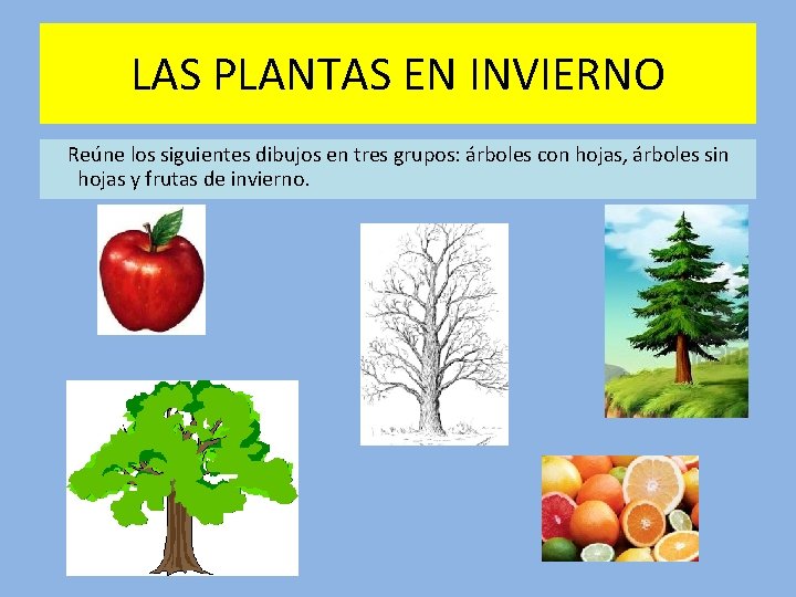 LAS PLANTAS EN INVIERNO Reúne los siguientes dibujos en tres grupos: árboles con hojas,