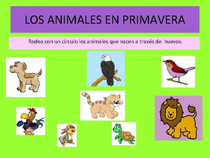 LOS ANIMALES EN PRIMAVERA Rodea con un circulo los animales que nacen a través