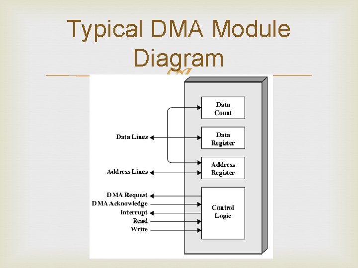 Typical DMA Module Diagram 