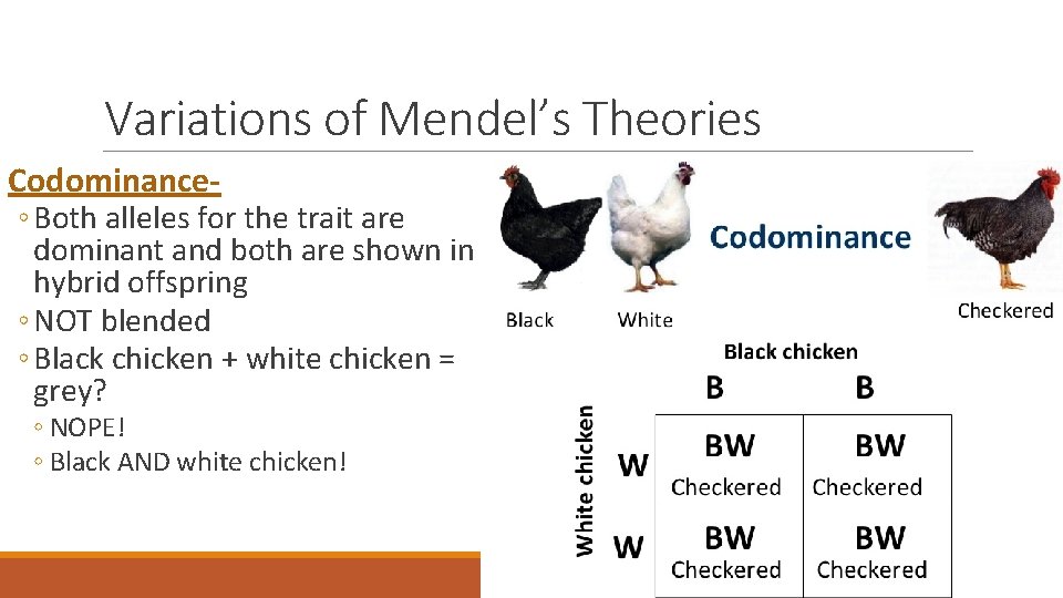 Variations of Mendel’s Theories Codominance◦ Both alleles for the trait are dominant and both