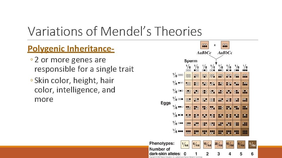 Variations of Mendel’s Theories Polygenic Inheritance◦ 2 or more genes are responsible for a