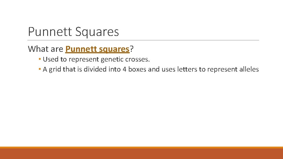 Punnett Squares What are Punnett squares? • Used to represent genetic crosses. • A