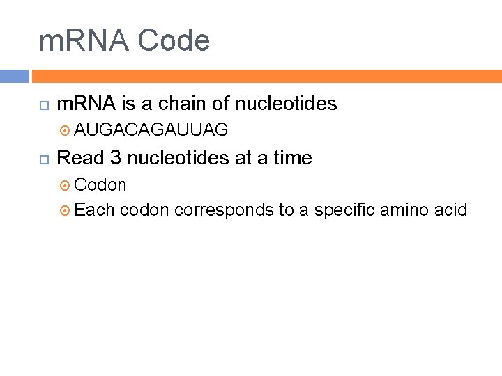 m. RNA Code m. RNA is a chain of nucleotides AUGACAGAUUAG Read 3 nucleotides