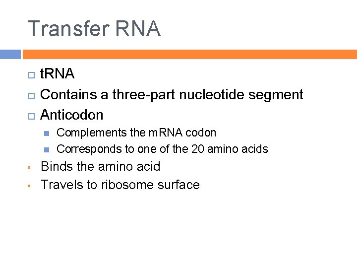 Transfer RNA t. RNA Contains a three-part nucleotide segment Anticodon • • Complements the