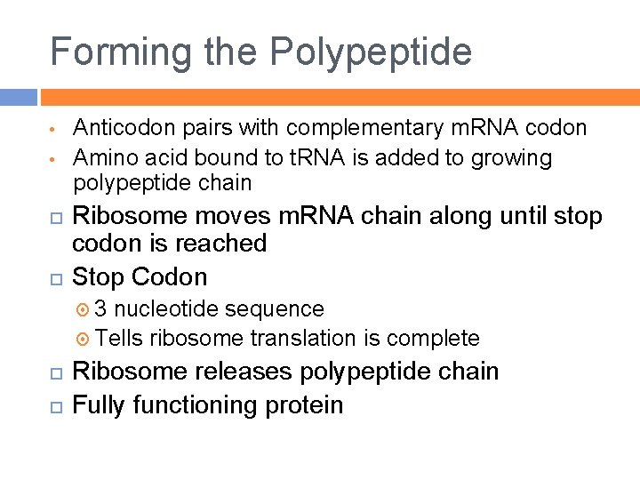 Forming the Polypeptide • • Anticodon pairs with complementary m. RNA codon Amino acid