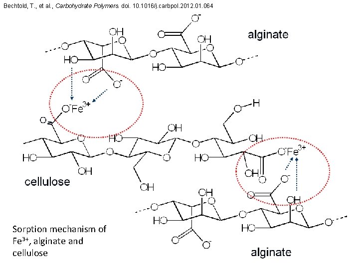 Bechtold, T. , et al. , Carbohydrate Polymers. doi. 1016/j. carbpol. 2012. 01. 064