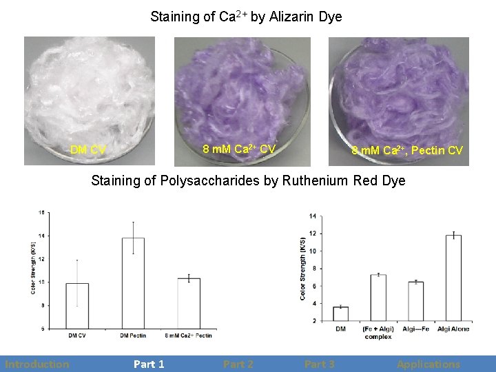 Staining of Ca 2+ by Alizarin Dye Pectin CV 8 m. M Ca 2+