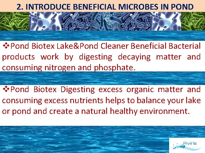 2. INTRODUCE BENEFICIAL MICROBES IN POND v. Pond Biotex Lake&Pond Cleaner Beneficial Bacterial products