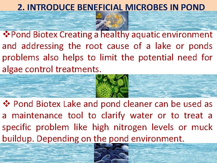 2. INTRODUCE BENEFICIAL MICROBES IN POND v. Pond Biotex Creating a healthy aquatic environment