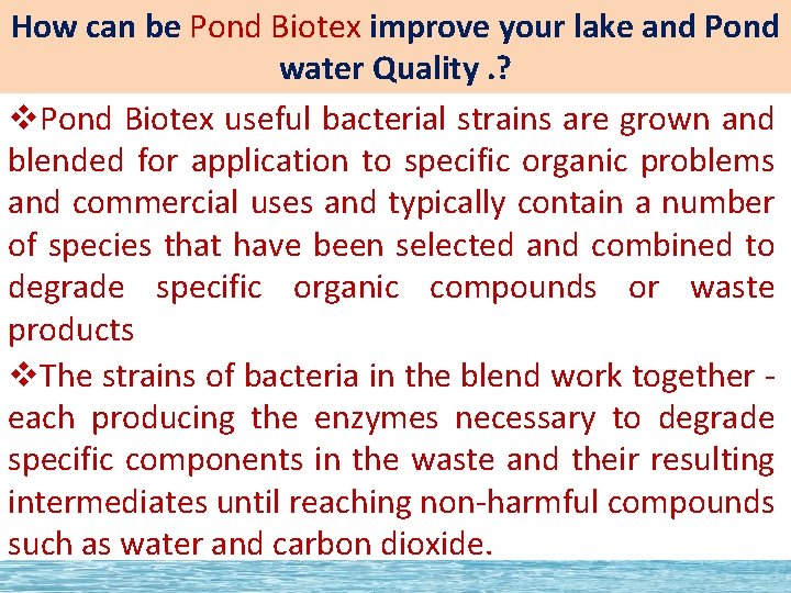 How can be Pond Biotex improve your lake and Pond water Quality. ? v.