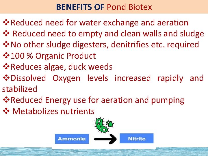 BENEFITS OF Pond Biotex v. Reduced need for water exchange and aeration v Reduced
