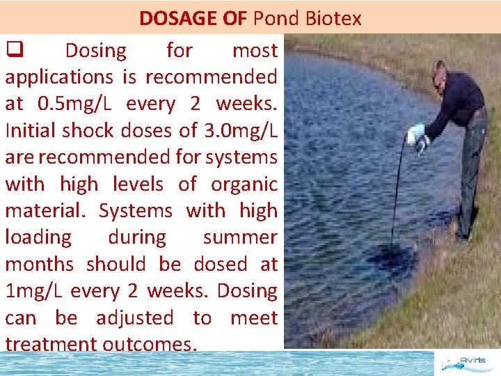 DOSAGE OF Pond Biotex q Dosing for most applications is recommended at 0. 5