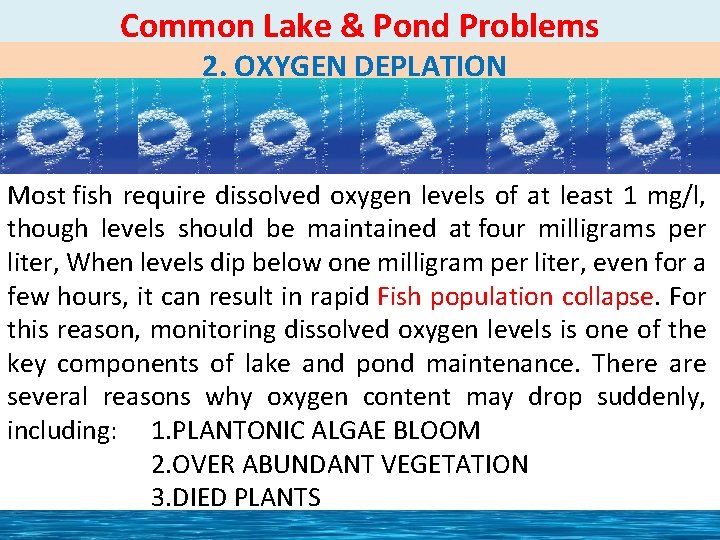 Common Lake & Pond Problems 2. OXYGEN DEPLATION Most fish require dissolved oxygen levels