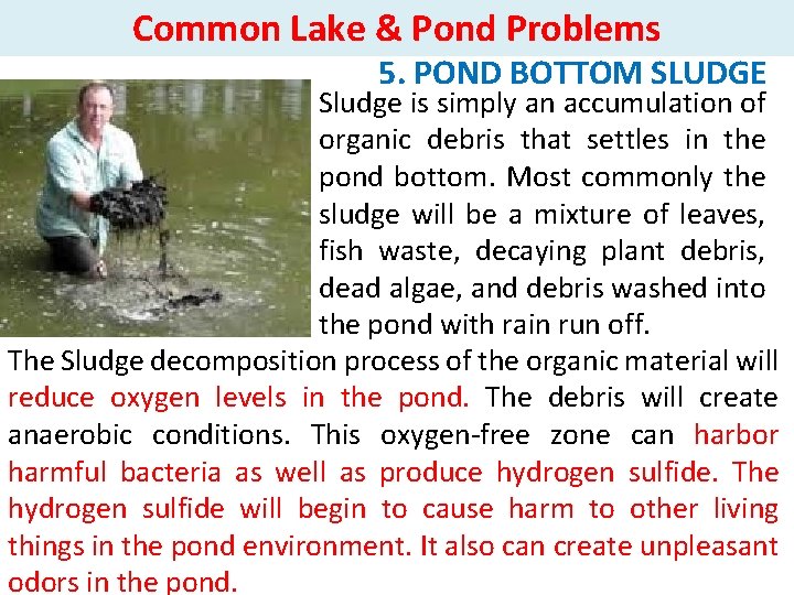 Common Lake & Pond Problems 5. POND BOTTOM SLUDGE Sludge is simply an accumulation