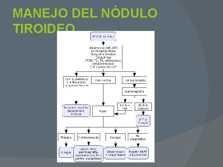 MANEJO DEL NÓDULO TIROIDEO 