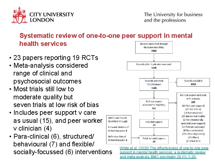 Systematic review of one-to-one peer support in mental health services • 23 papers reporting