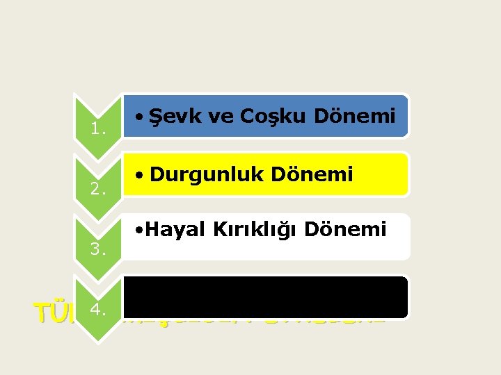 1. 2. 3. • Şevk ve Coşku Dönemi • Durgunluk Dönemi • Hayal Kırıklığı