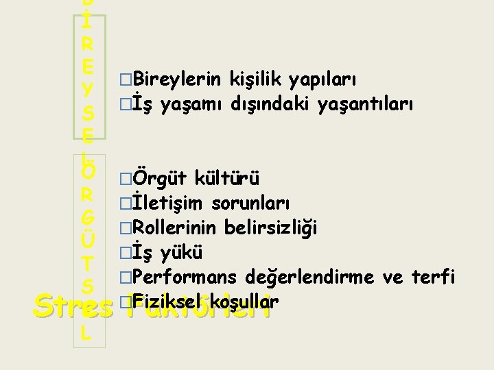 B İ R E �Bireylerin kişilik yapıları Y �İş yaşamı dışındaki yaşantıları S E