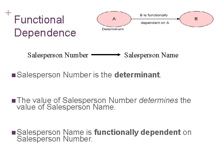 + 7 -10 Functional Dependence Salesperson Number n Salesperson Name Number is the determinant.