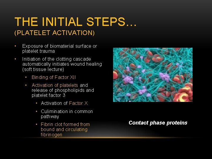THE INITIAL STEPS… (PLATELET ACTIVATION) • Exposure of biomaterial surface or platelet trauma •