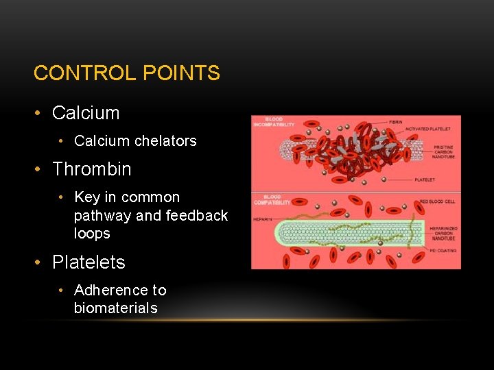 CONTROL POINTS • Calcium chelators • Thrombin • Key in common pathway and feedback