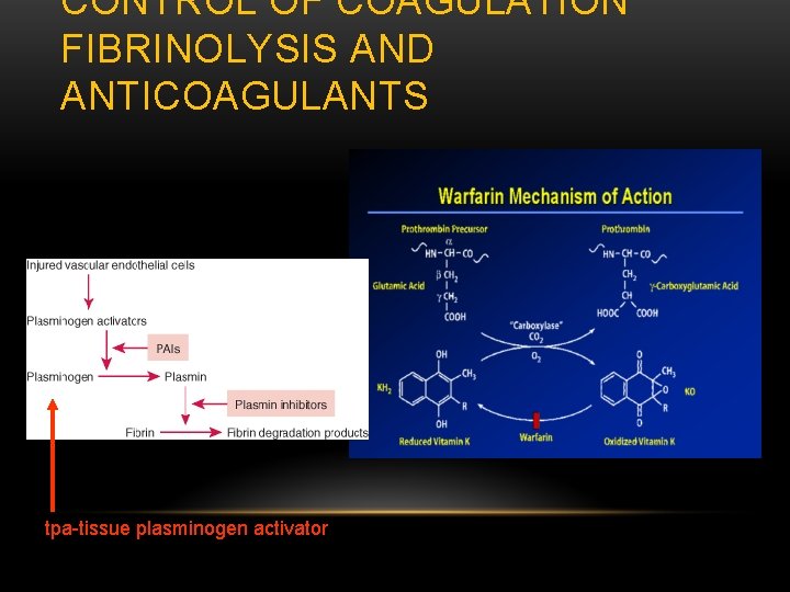 CONTROL OF COAGULATION FIBRINOLYSIS AND ANTICOAGULANTS tpa-tissue plasminogen activator 