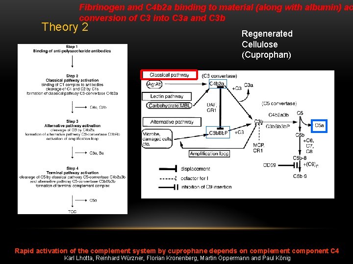 Fibrinogen and C 4 b 2 a binding to material (along with albumin) ac