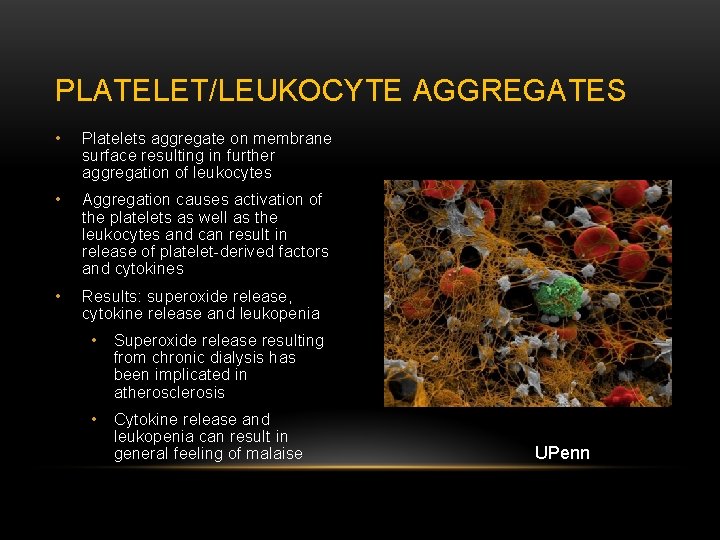 PLATELET/LEUKOCYTE AGGREGATES • Platelets aggregate on membrane surface resulting in further aggregation of leukocytes