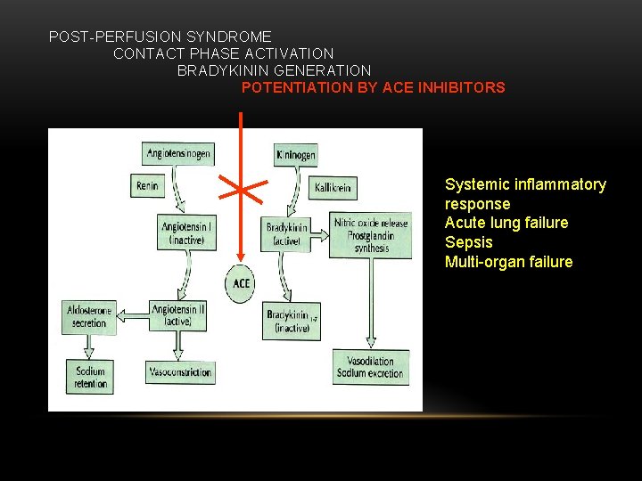 POST-PERFUSION SYNDROME CONTACT PHASE ACTIVATION BRADYKININ GENERATION POTENTIATION BY ACE INHIBITORS Systemic inflammatory response