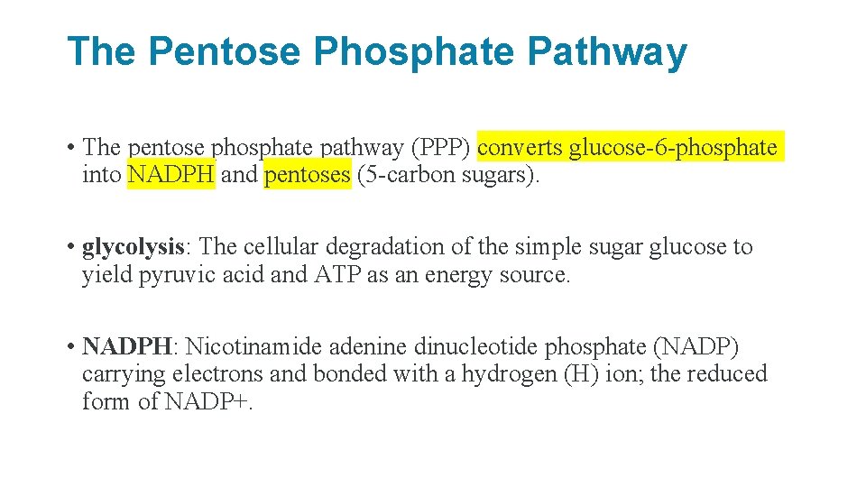 The Pentose Phosphate Pathway • The pentose phosphate pathway (PPP) converts glucose-6 -phosphate into