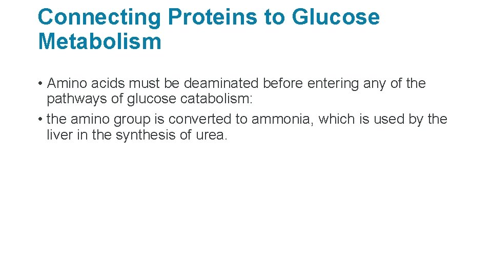 Connecting Proteins to Glucose Metabolism • Amino acids must be deaminated before entering any