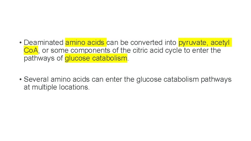  • Deaminated amino acids can be converted into pyruvate, acetyl Co. A, or