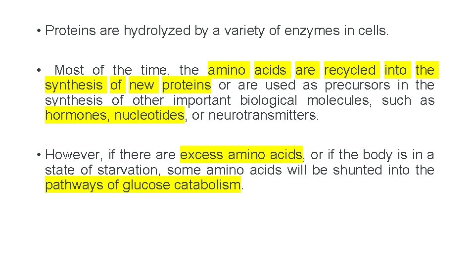  • Proteins are hydrolyzed by a variety of enzymes in cells. • Most