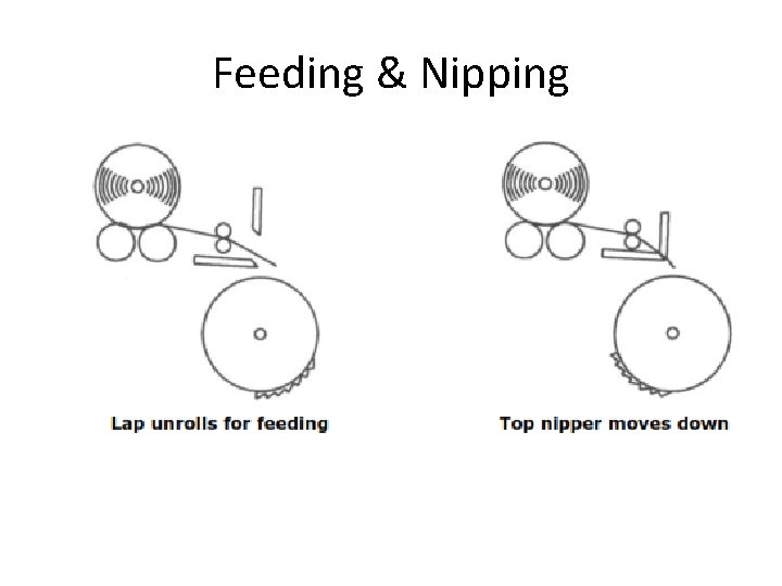 Feeding & Nipping 