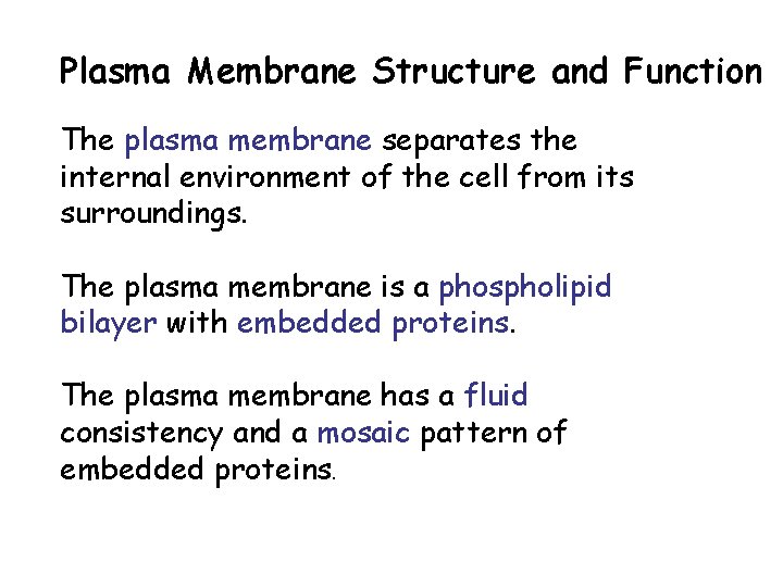 Plasma Membrane Structure and Function The plasma membrane separates the internal environment of the