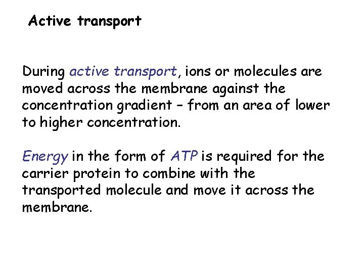 Active transport During active transport, ions or molecules are moved across the membrane against