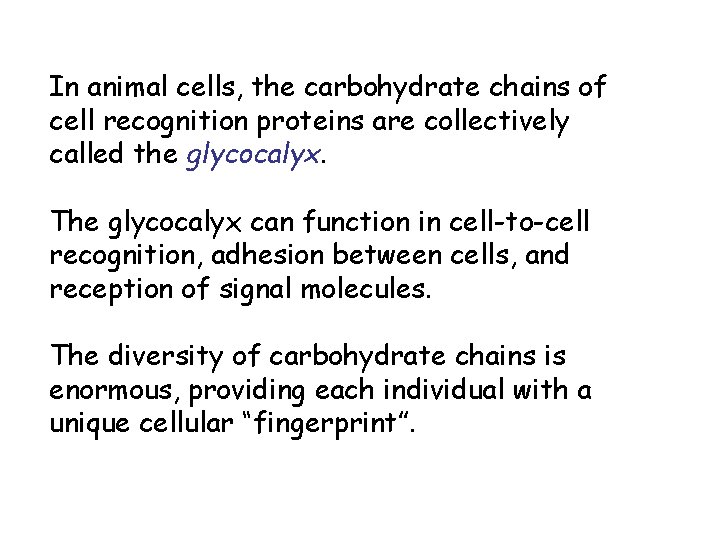 In animal cells, the carbohydrate chains of cell recognition proteins are collectively called the