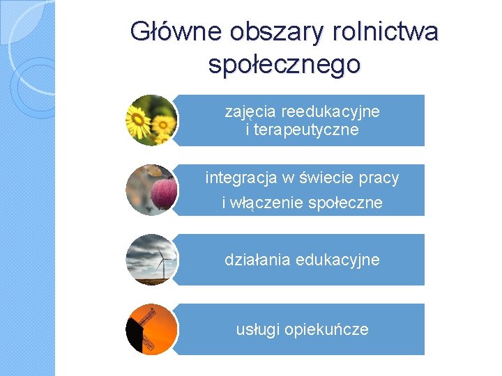 Główne obszary rolnictwa społecznego zajęcia reedukacyjne i terapeutyczne integracja w świecie pracy i włączenie