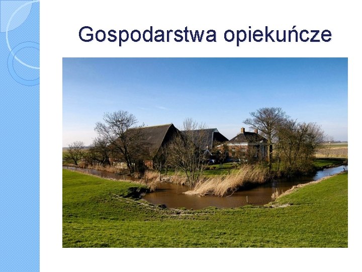 Gospodarstwa opiekuńcze 