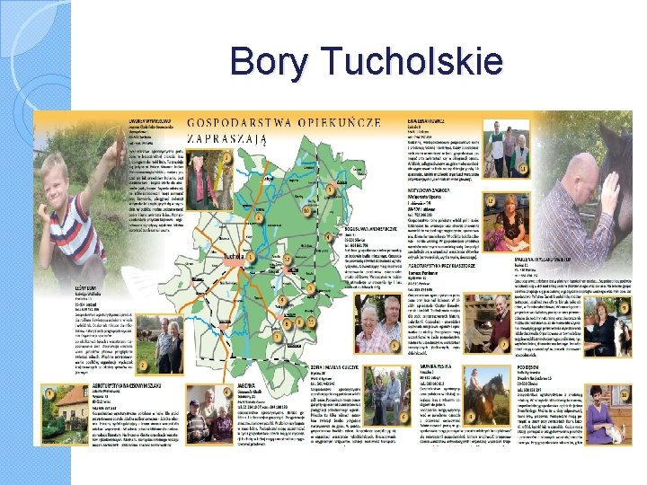 Bory Tucholskie 