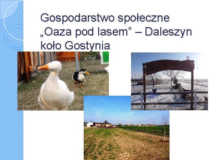 Gospodarstwo społeczne „Oaza pod lasem” – Daleszyn koło Gostynia 