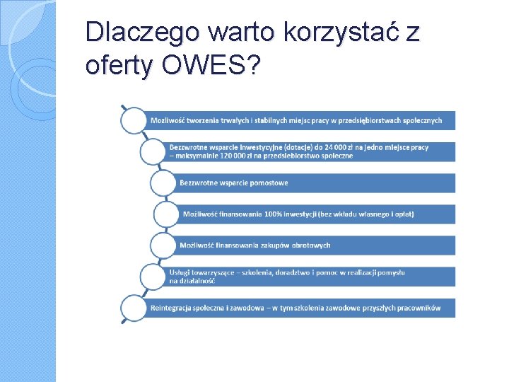 Dlaczego warto korzystać z oferty OWES? 