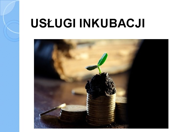 USŁUGI INKUBACJI 