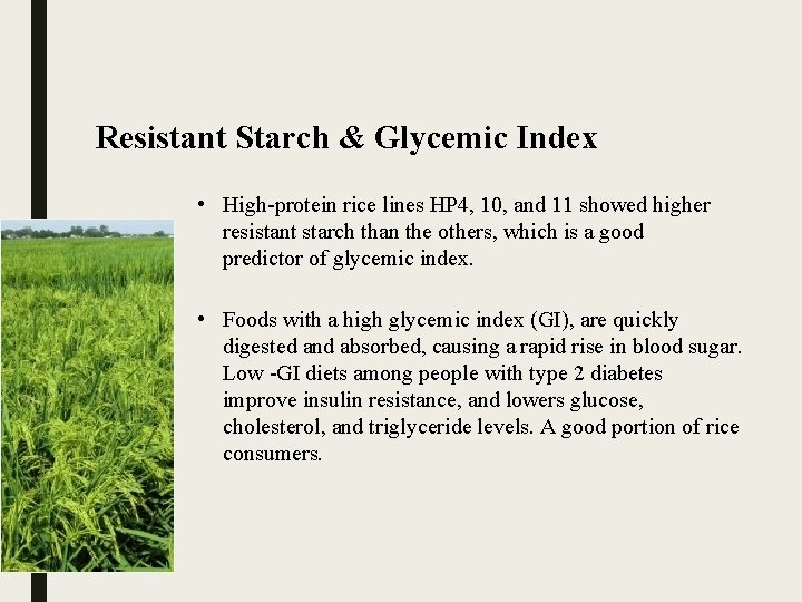 Resistant Starch & Glycemic Index • High-protein rice lines HP 4, 10, and 11